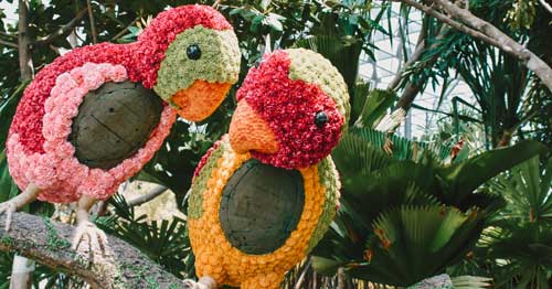 Topiary Walk